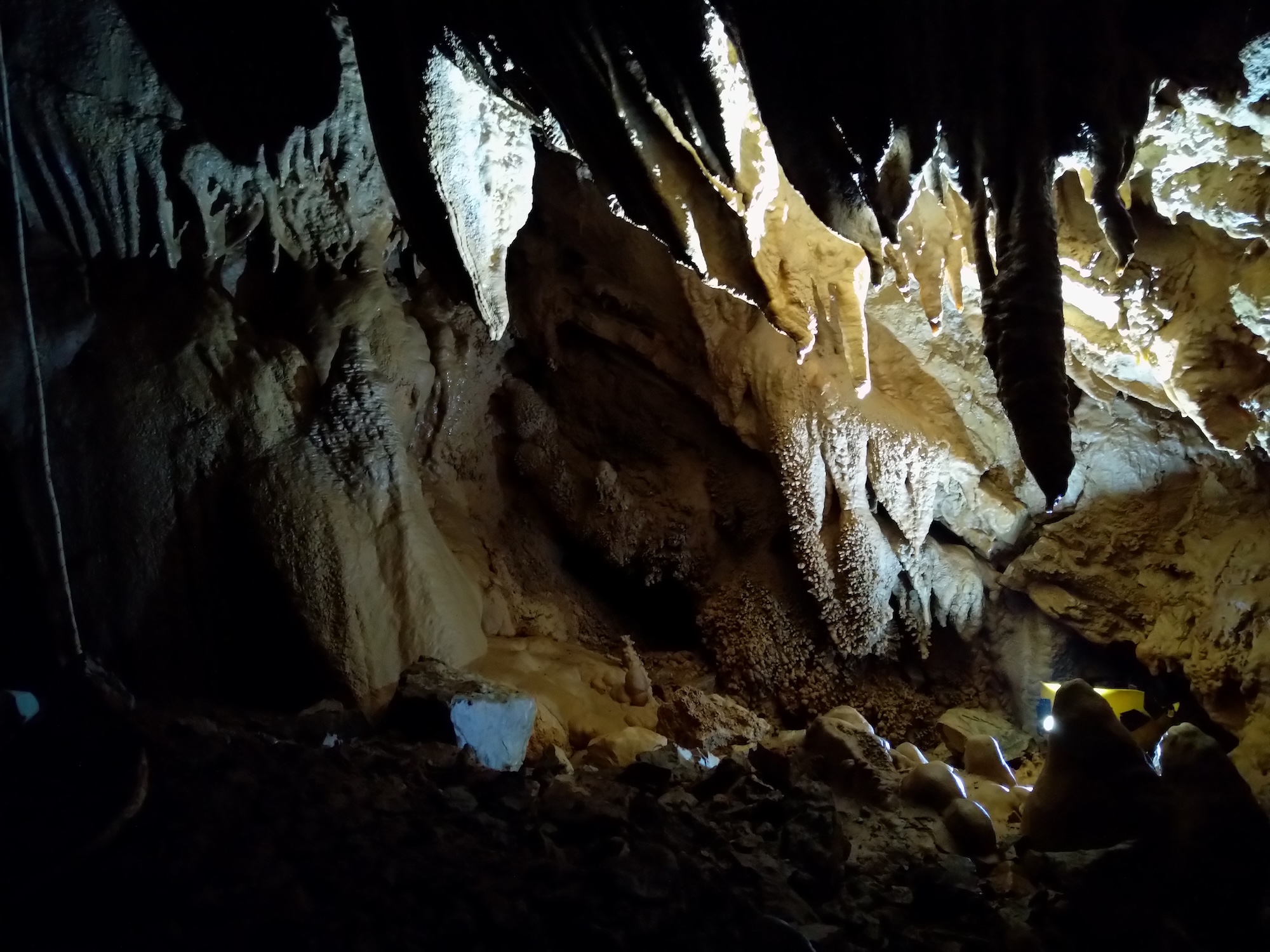 Peștera Nr.8 din Valea Toplița (Avenul Salamandrei) - Image 6